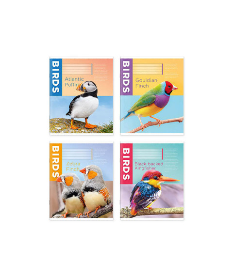 Caiet 12 foi, linie oblică, copertă colorată, 124003